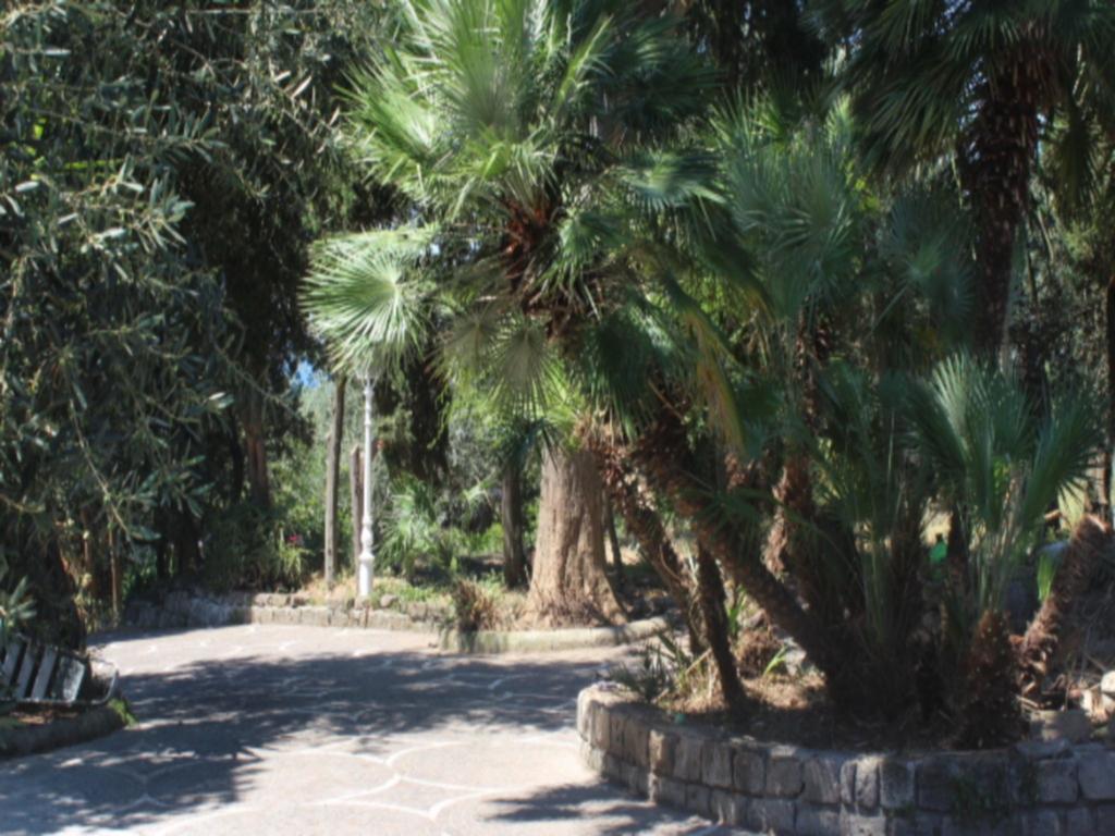 Faraglioni Di Guest house Sorrento